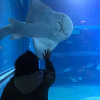 IMAGE-2020-12-17-171835